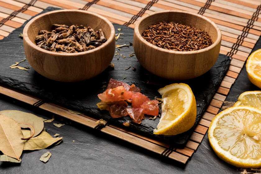 Comida con insectos como tendencia: qué es, cómo se come y qué podemos ...