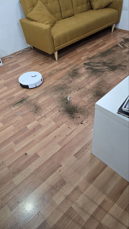 Photo 2025 11 19 13 06 31