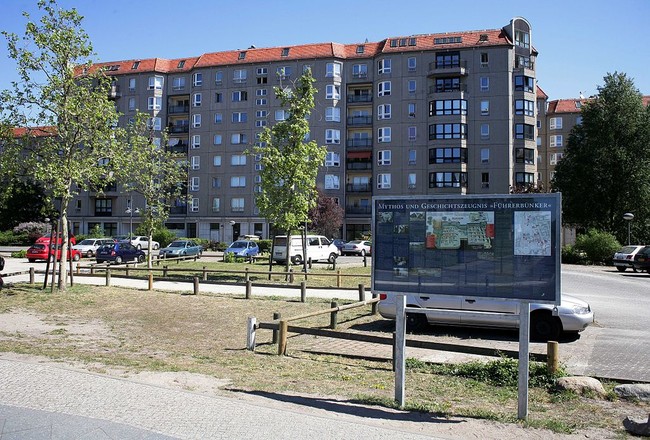 Cezary P