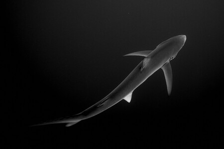 Sony World Photo Awards 2021