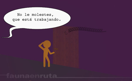 Sueño y conducción