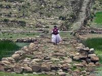 El Sistema Vial Andino o Qhapaq Ñan es declarado Patrimonio de la Humanidad 