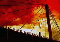 Hoy he comprado una microempresa