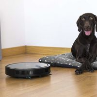 Robot aspirador Conga 1090 a precio de Black Friday en la Semana de Internet de Amazon: 169 euros