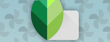 Tengo miedo de que Snapseed cierre y estas herramientas de edición no lleguen nunca a Google Fotos