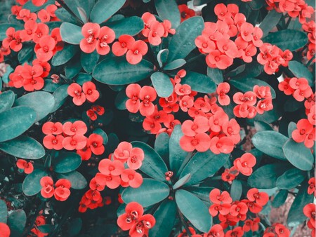 Copia De Plantilla 1200x900 66