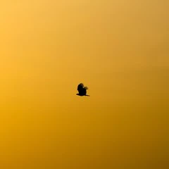 Foto 24 de 25 de la galería fondos-minimalistas en Xataka Android