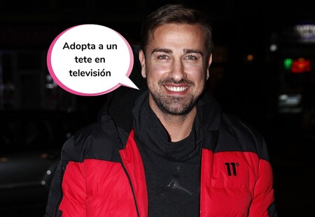 Esta es la tajante respuesta de Rafa Mora a si se siente un "colaborador de segunda" en 'Sálvame'