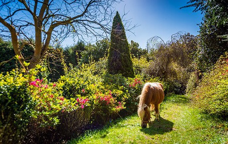 Que Ver Pueblo Asturias Eclipse Solar Jardin Botanico Escapada Viajes