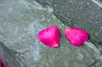 Me ha tocado el gordo, ¡mis hijas!