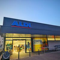 Aldi vende la semana que viene (por 11,99 euros) este árbol de Navidad gigante ideal para patios, terrazas o jardín
