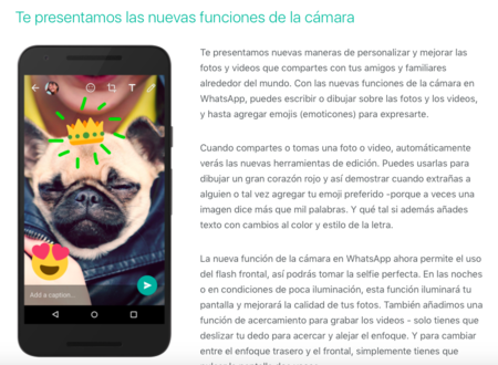 WhatsApp para iPhone se apunta a la moda de garabatear en las fotos en su última versión