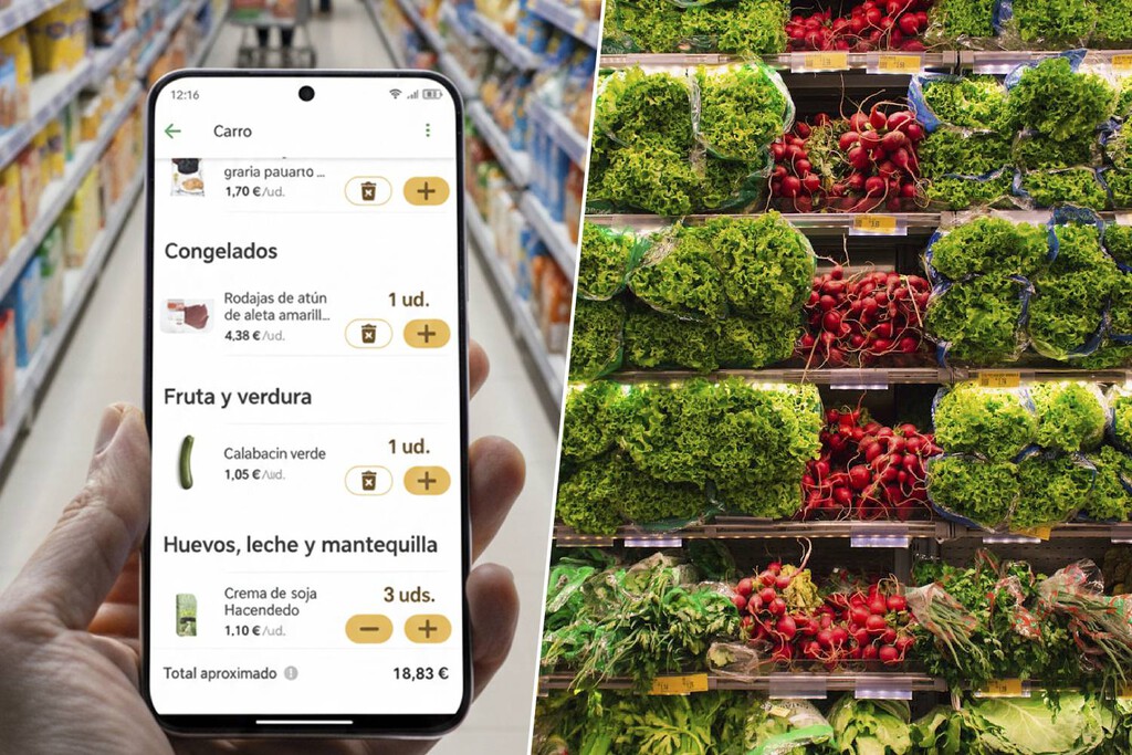 Mientras la patronal de Mercadona y Lidl pide dejar de imprimir el ticket de la compra, yo ya los recibo en el móvil desde hace años 