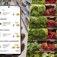 Mientras la patronal de Mercadona y Lidl pide dejar de imprimir el ticket de la compra, yo ya los recibo en el móvil desde hace años 