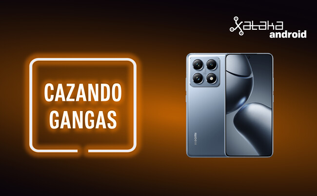 Cazando Gangas