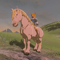 Dónde encontrar el Caballo Blanco de Zelda en Zelda Breath of the Wild