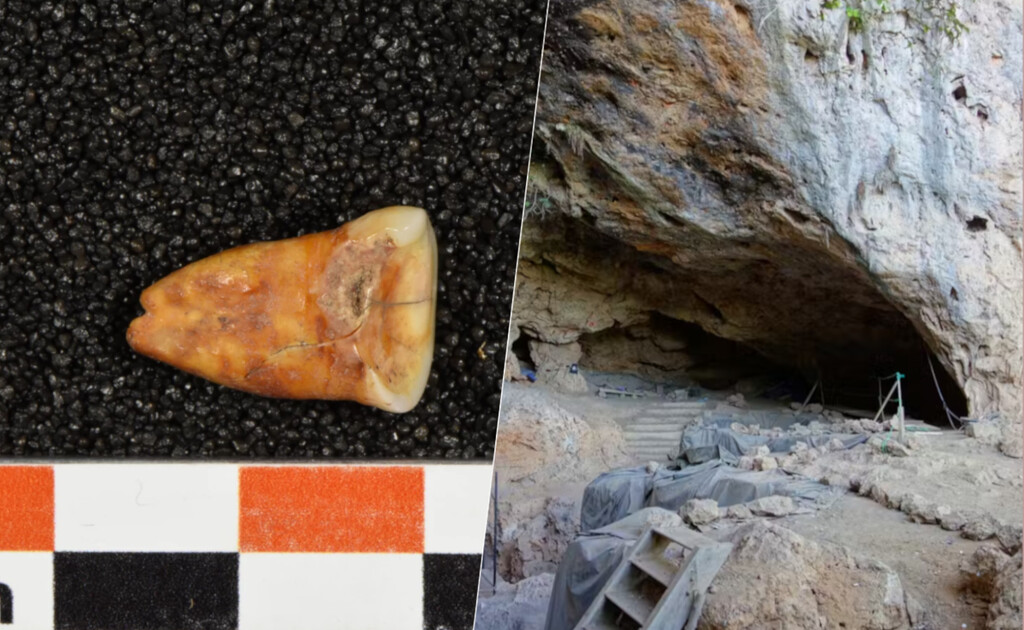 La auténtica dieta paleolítica no tenía tanta carne como creíamos. Más bien al contrario