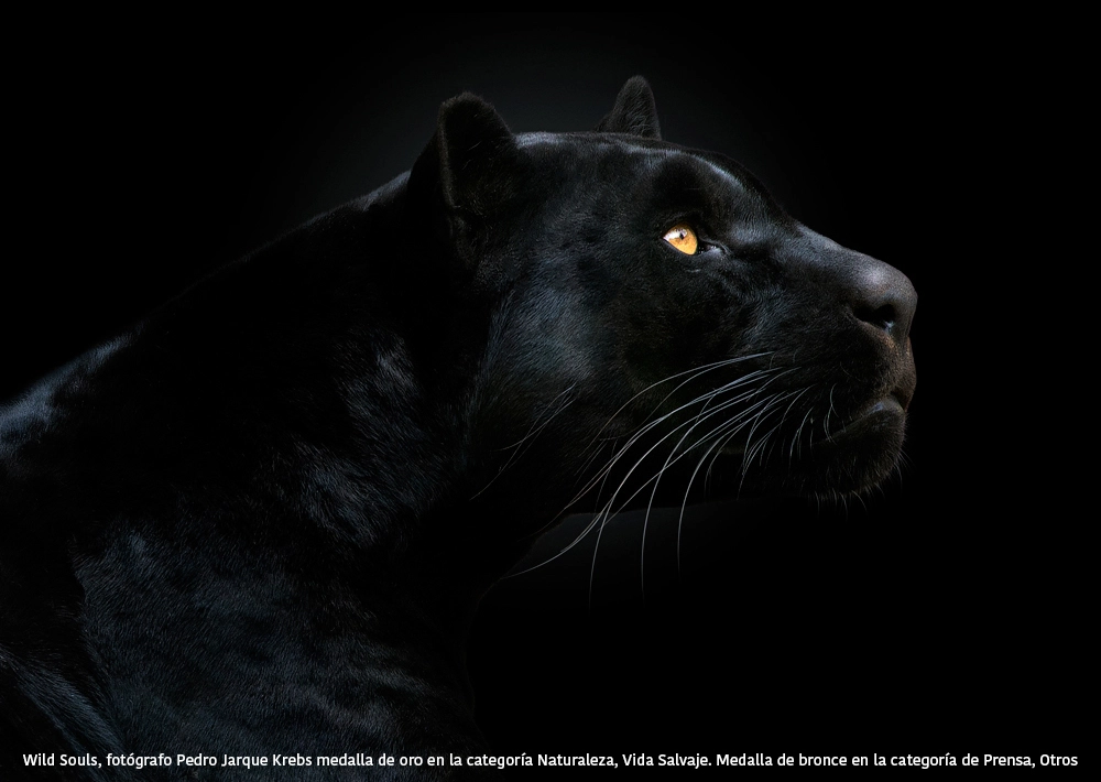 Foto de Wild Souls - Pedro Jarque Krebs (2/3)