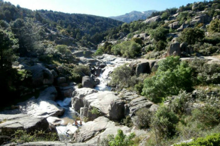 Pedriza