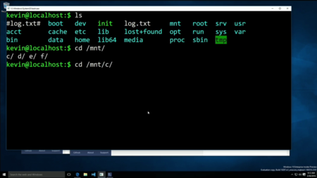 El amor de Microsoft no es tanto hacia Linux en sí, sino hacia sus desarrolladores