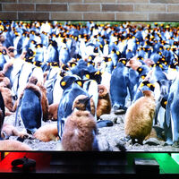 La LG OLED C5 ha bajado tanto de precio que en el outlet oficial de la marca cuesta la mitad