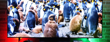 LG tiene en su outlet la OLED C5 mucho más barata: una smart TV todoterreno para jugar o ver pelis 