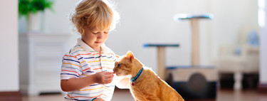 La muerte de la mascota: cómo ayudar al niño a superar la pérdida de su fiel amigo