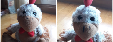 Esperando noticias de Kiki, el peluche perdido de un niño que ha revolucionado las redes sociales