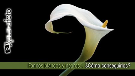 Conseguir fondos totalmente blancos o negros
