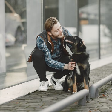 Qué dice la psicología sobre las personas que acarician perros en la calle 