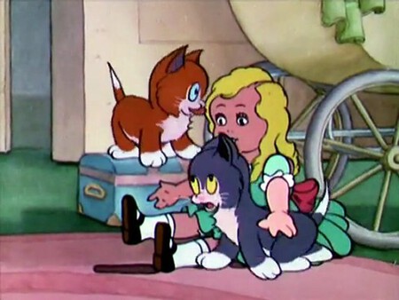 Three Orphan Kittens