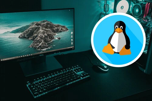 Windows Linux