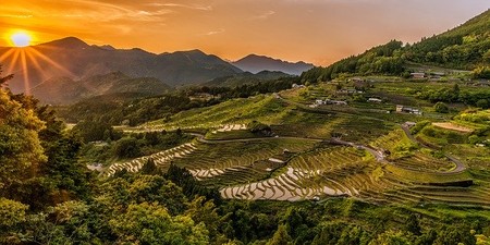 Más cerca de manipular las enzimas de las plantas para que sean resistentes a las inundaciones fruto del cambio climático