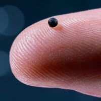 La ciencia quiere meternos 'microrobots' en el cuerpo para medicarnos. Ya han dado buenos resultados 