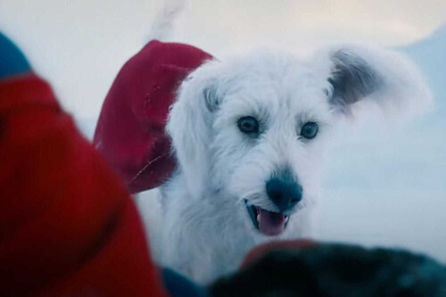 Krypto