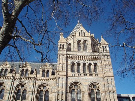 Museo de Historia Natural Londres