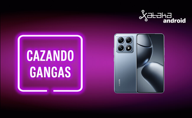 Cazando Gangas
