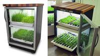 Urban Cultivator, verduras siempre frescas en nuestras cocinas 