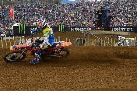 herlings