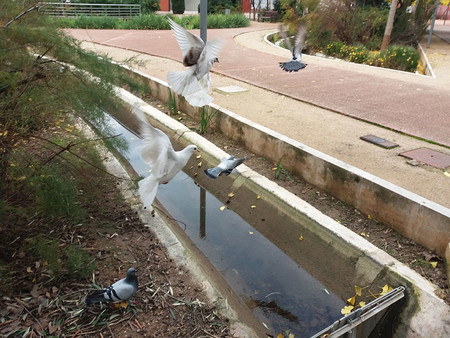 Pruebas cámara Samsung Galaxy J5 2016