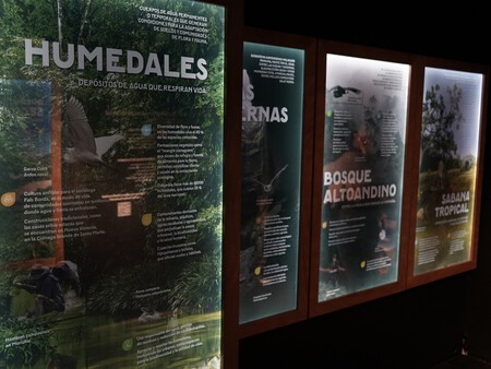 Maloka Latidos De Colombia 3