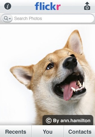 flickr llega al iPhone de forma oficial