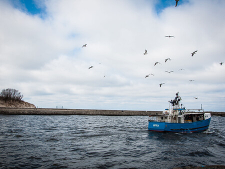 Pesca