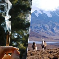 Drogarse no es un vicio moderno: hace 4.000 años ya había gente haciéndolo en las profundidades de los Andes