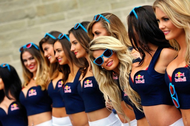 Paddock Girls