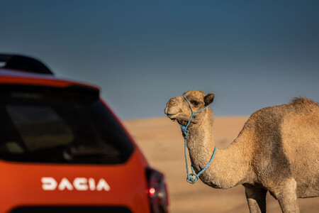 Dacia Duster Camp 011