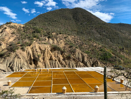 Este es el destino de Puebla que alguna vez fue mar, donde todavía se produce sal, tiene una zona arqueológica y un bosque de cactáceas gigantes