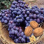 El resveratrol presente en el vino, las uvas o las nueces, contribuye a alargar la vida