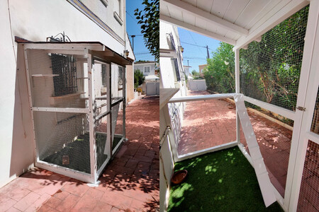 Catio
