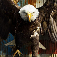 El águila de Peacemaker no solo está hecha por ordenador, también le da voz una persona que has escuchado miles de veces